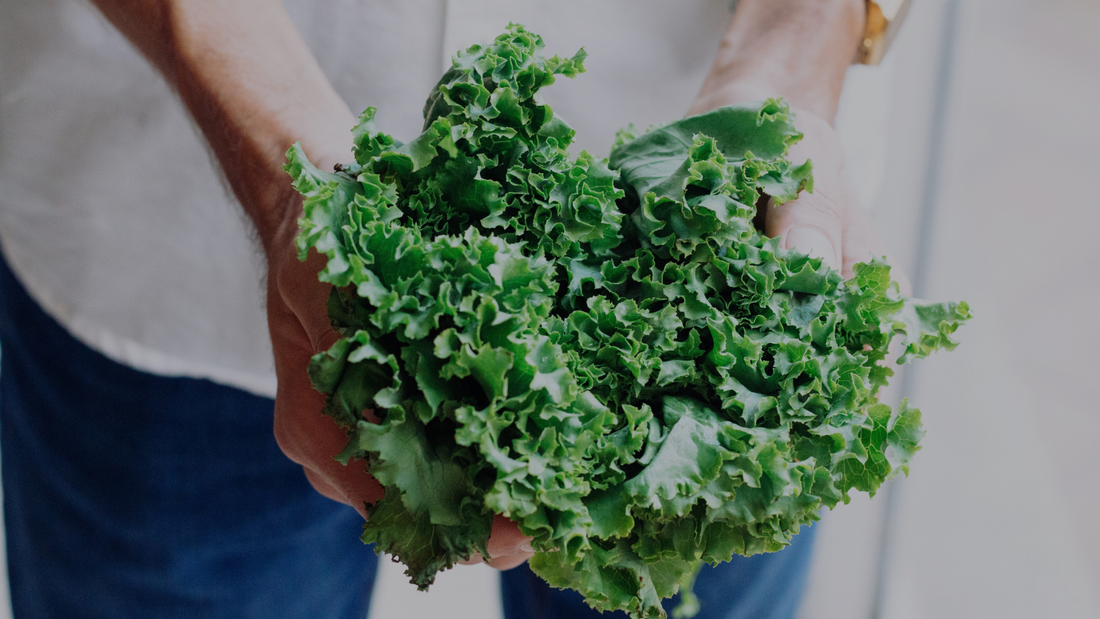 3 Benefits of Zeaxanthin