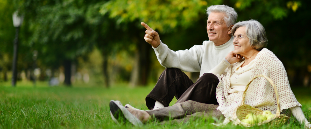Eye Health Supplements